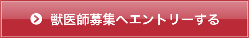 職員募集へエントリーする