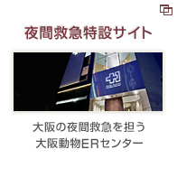 夜間救急 動物病院 大阪動物ERセンター
