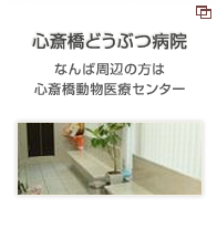 心斎橋どうぶつ病院 なんば周辺の方は