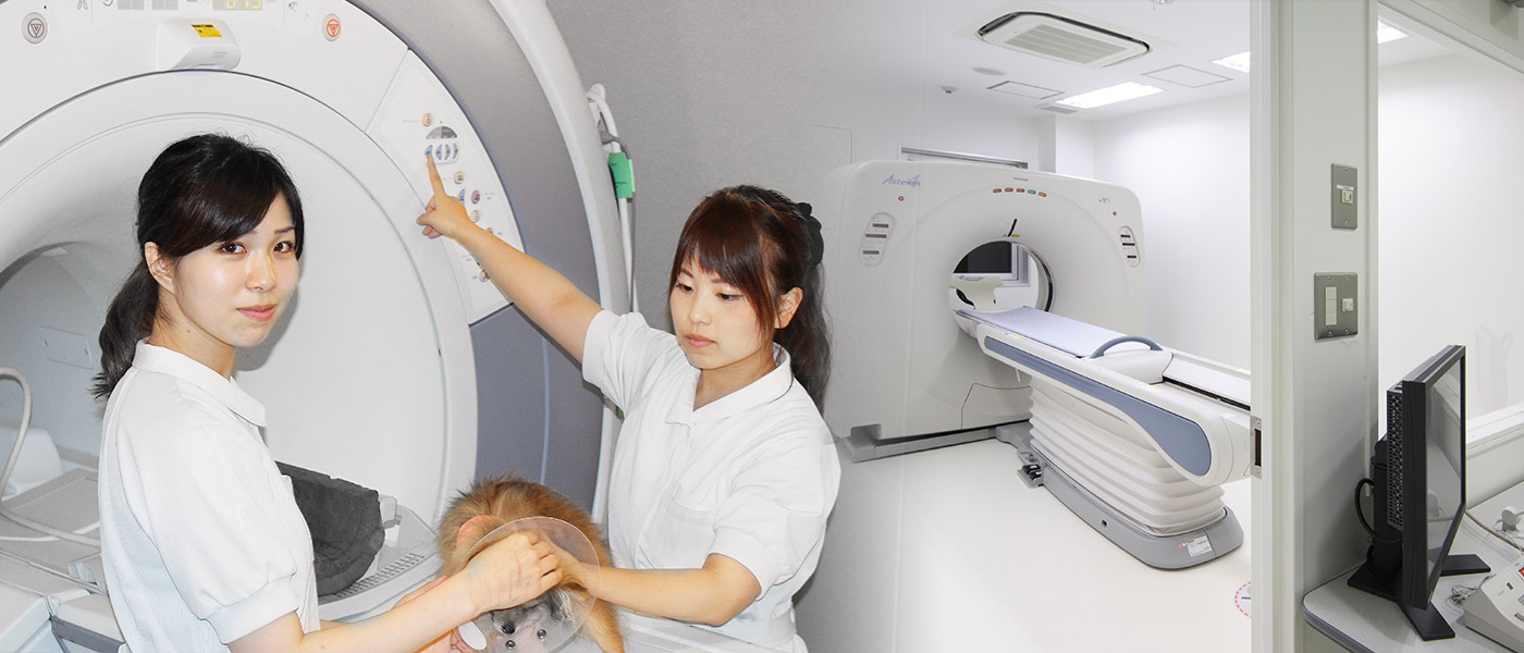 CT・MRI検査のご案内 | 大阪動物医療センター