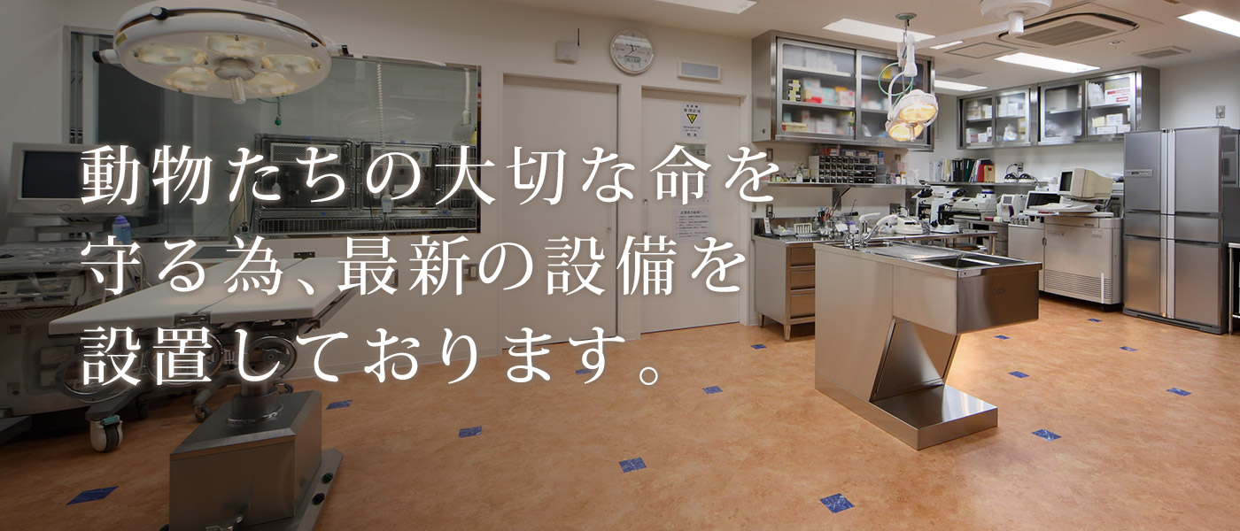 大阪 動物 医療 センター