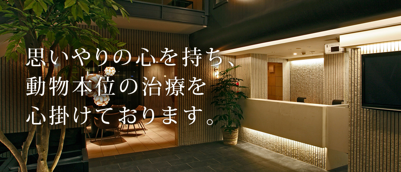大阪 動物 医療 センター