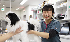 内山 美緒
