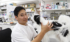 藤原 陸人